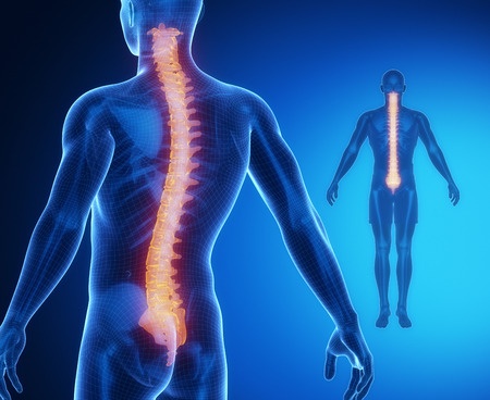 Spine Surgeon Doctor in Mehsana