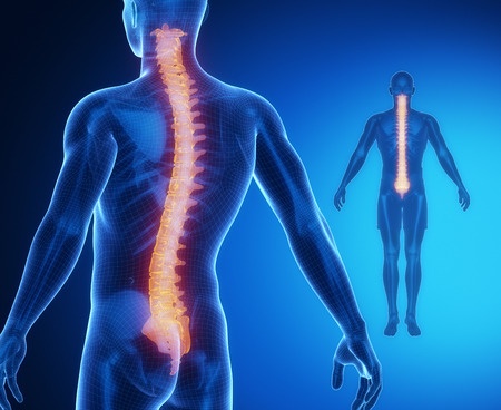Spine Surgeon in Ahmedabad